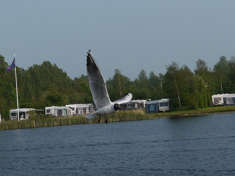 2016.05 Fryslan Bootstour - 129.jpg
